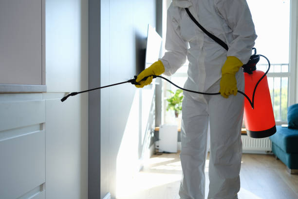 Best Toxic Mold Removal  in Chattahoochee, FL